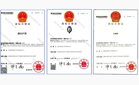 case study image 2